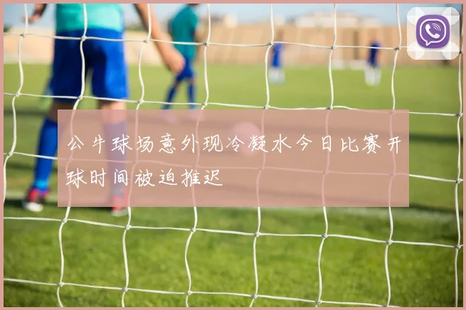 公牛球场意外现冷凝水今日比赛开球时间被迫推迟