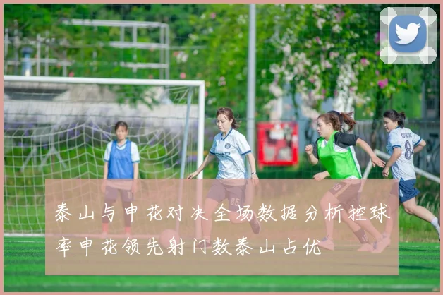 泰山与申花对决全场数据分析控球率申花领先射门数泰山占优