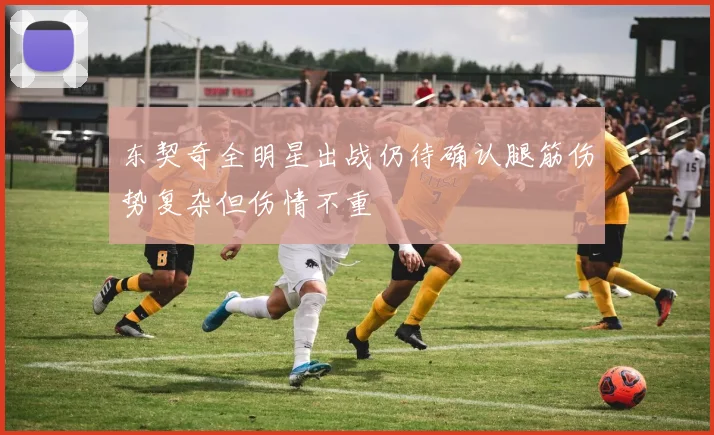 东契奇全明星出战仍待确认腿筋伤势复杂但伤情不重